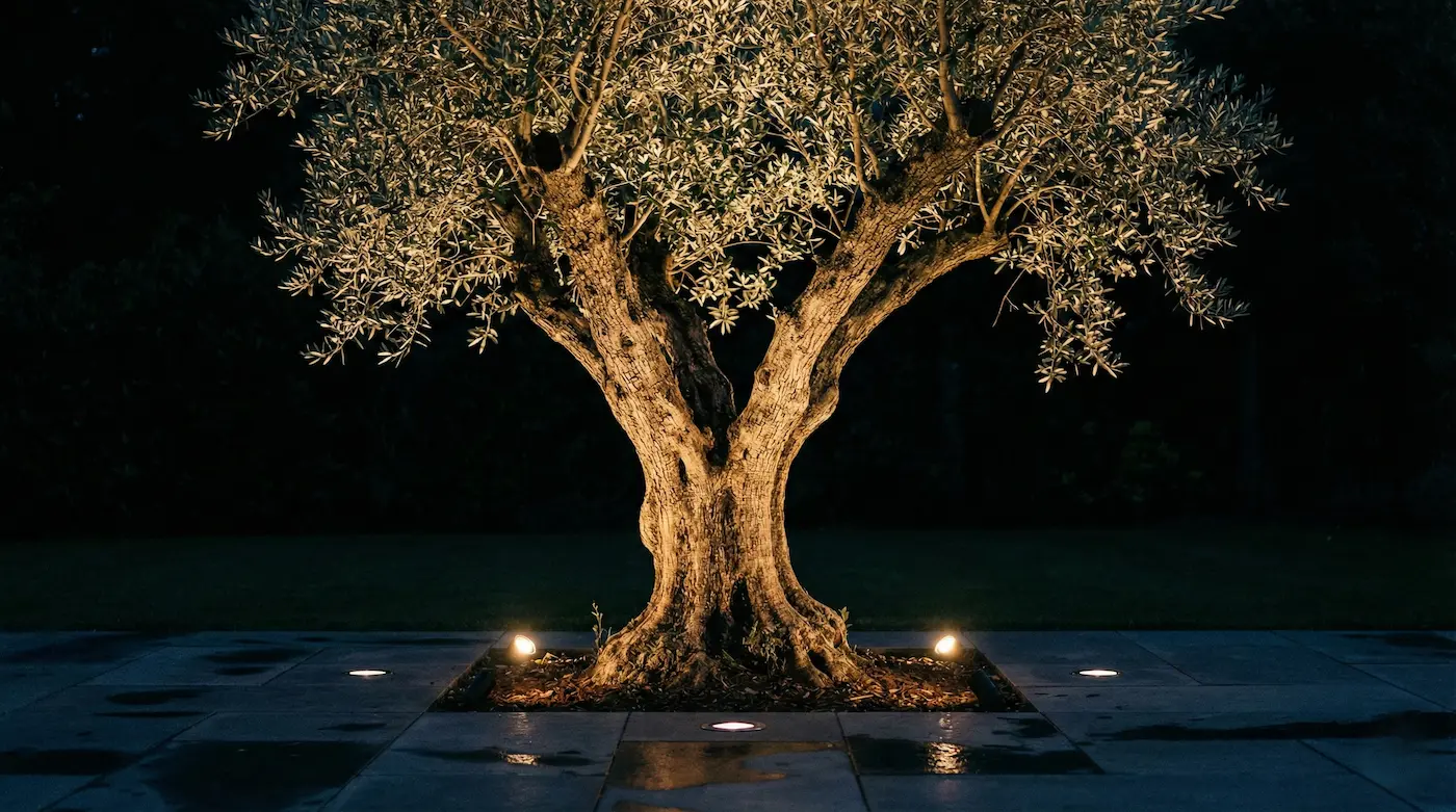 iluminación en suelo incrustadas | jardinesconestiloes Iluminación En Suelo Incrustadas Iluminación Exterior De Autor El Arte Del Nightscape En El Jardín
