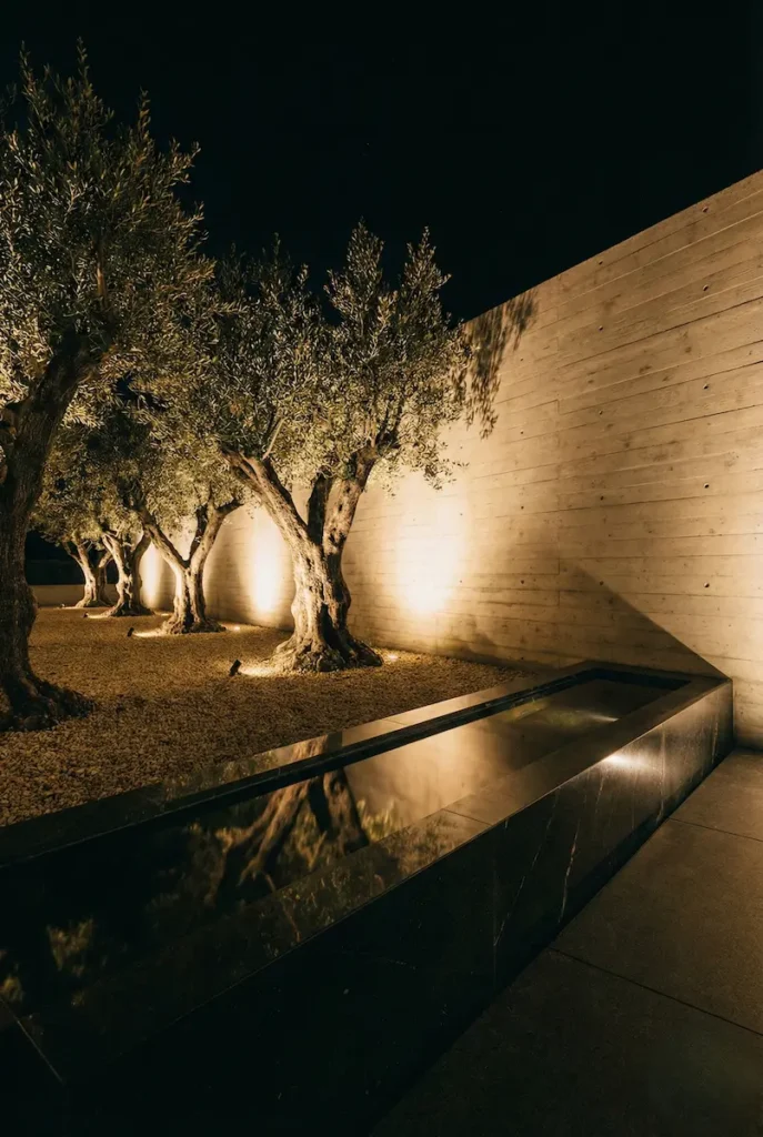 Jardín Fachada Hormigón Con Olivos Noche Tendencias En Paisajismo 2026 La Excelencia De Lo Natural