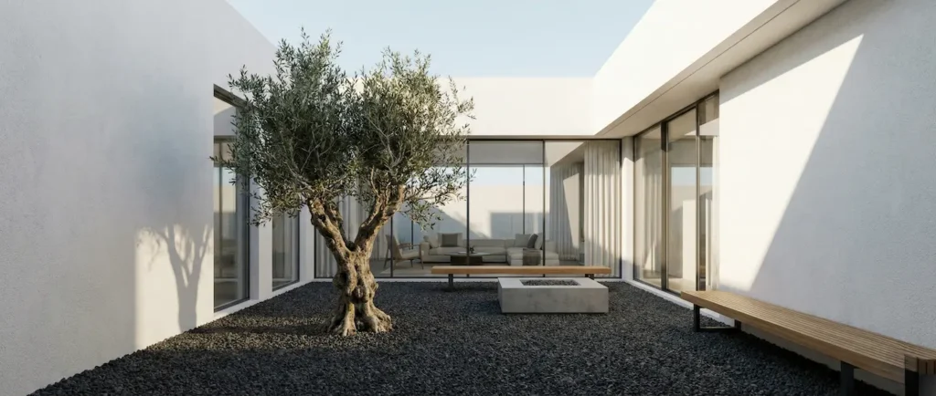 panoramica pato interior con olivo1 | jardinesconestiloes Panoramica Pato Interior Con Olivo1 Patios Interiores El Pulmón Del Minimalismo Cálido