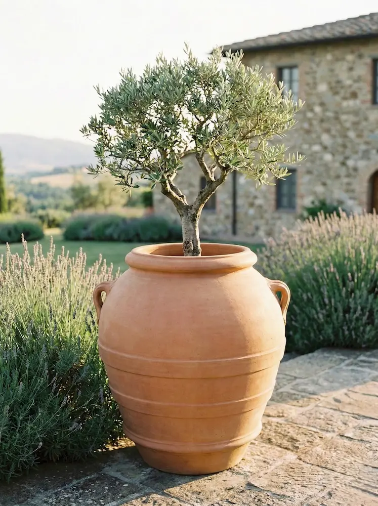 vasija terracota con ejemplar mini bonsai de olivo | jardinesconestiloes Vasija Terracota Con Ejemplar Mini Bonsai De Olivo El Jardín Toscano El Lujo De La Atemporalidad