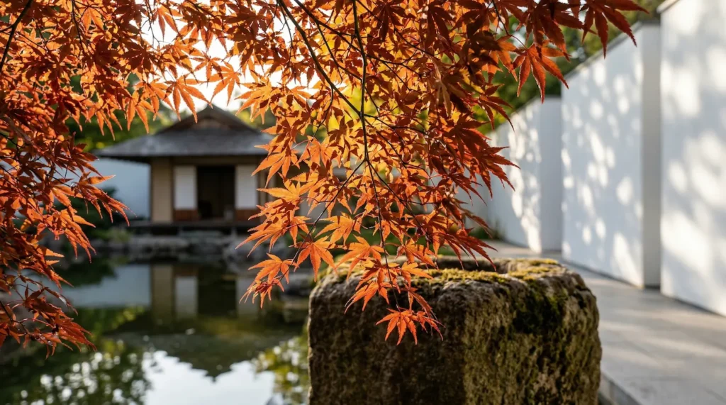 acer japonica5 | jardinesconestiloes Acer Japonica5 Arce Japonés acer Palmatum El Alma Del Diseño En El Jardín De Autor