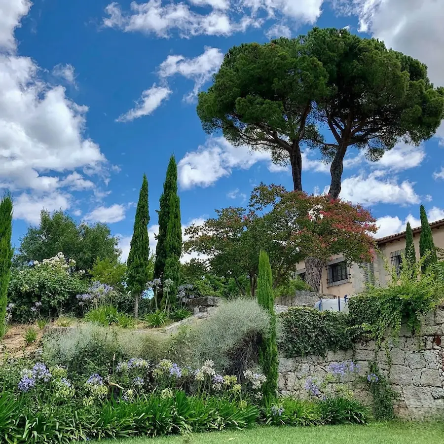 Finca Avila 2 Santiago A Martínez La Narrativa Del Arte Vivo Y La Herencia Del Paisaje