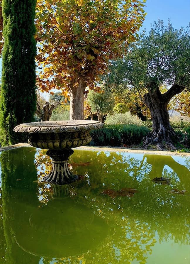 Finca Avila 3 Santiago A Martínez La Narrativa Del Arte Vivo Y La Herencia Del Paisaje