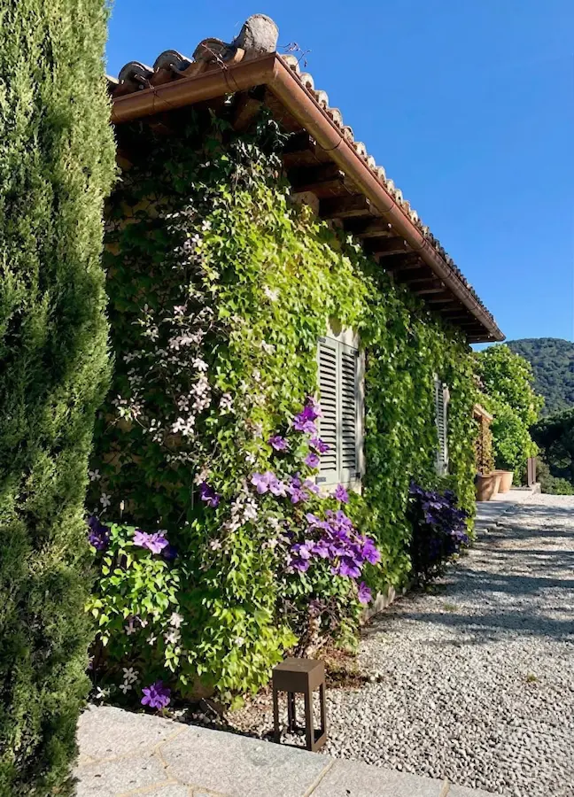 Finca Avila 4 Santiago A Martínez La Narrativa Del Arte Vivo Y La Herencia Del Paisaje