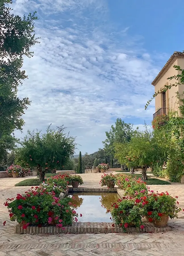 Finca Cordoba 2 Santiago A Martínez La Narrativa Del Arte Vivo Y La Herencia Del Paisaje
