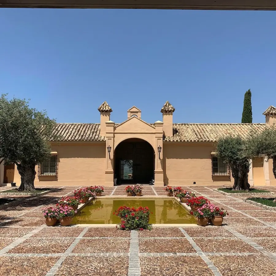 Finca Cordoba 3 Santiago A Martínez La Narrativa Del Arte Vivo Y La Herencia Del Paisaje