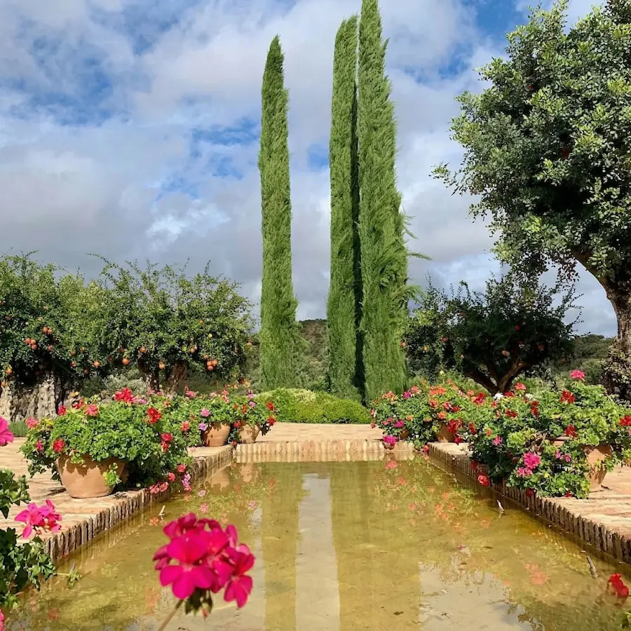 Finca Cordoba 4 Santiago A Martínez La Narrativa Del Arte Vivo Y La Herencia Del Paisaje