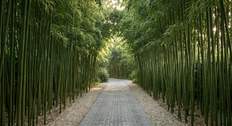 Bambú Seto Susurros De Acero Vegetal La Verticalidad Del Bambú Como Arquitectura Del Sonido Y La Privacidad