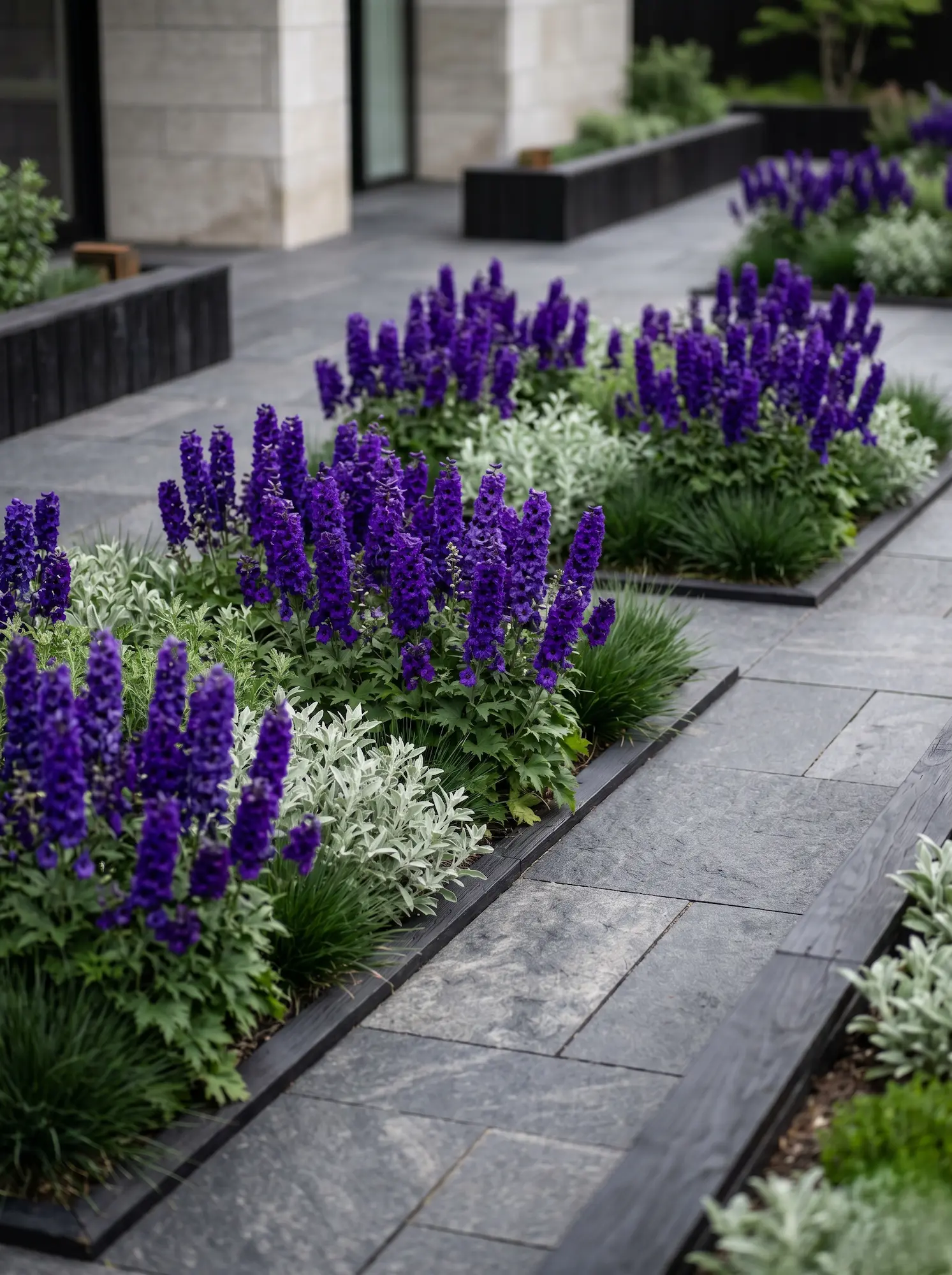 delphinium 5 | jardinesconestiloes Delphinium 5 El Delphinium En La Arquitectura Exterior Estructura Vertical Y Ritmo Cromático