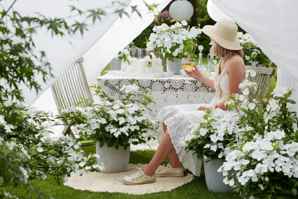hortensi runaway bride1 | jardinesconestiloes Hortensi Runaway Bride1 Hydrangea runaway Bride La Hortensia Guirnalda Para Un Diseño De Excelencia