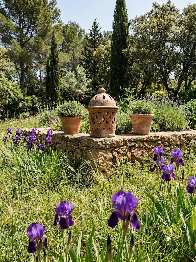 regenerativo6 | jardinesconestiloes Regenerativo6 Jardinería Regenerativa El Arte De Sanar El Paisaje