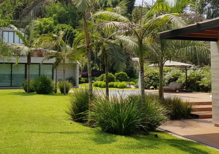 Explanada del jardín con piscina, tarima de madera y vivienda de arquitectura contemporánea rodeada de vegetación en Lima.