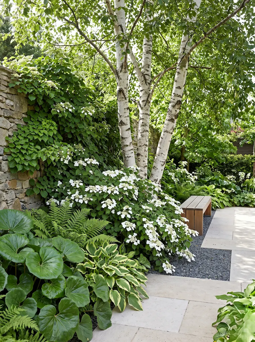 betula multitronco ejemplar e integrada en jardín de sombra | jardinesconestiloes Betula Multitronco Ejemplar E Integrada En Jardín De Sombra Los Guardianes Del Tiempo Cómo Diseñar El Paisaje Alrededor De Un árbol Singular