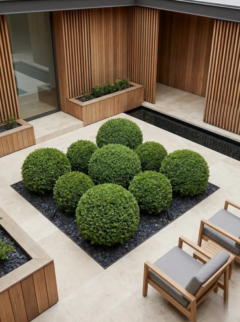 boj bola en patio interior | jardinesconestiloes Boj Bola En Patio Interior Árboles Paisajísticos La Estructura Del Diseño Exterior