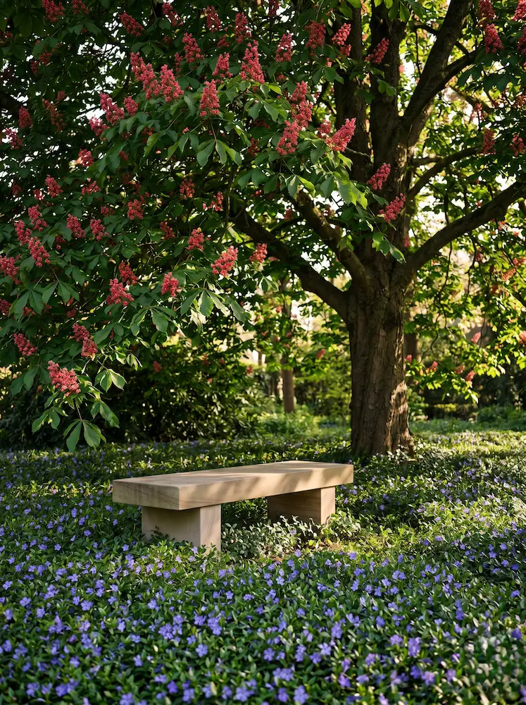 carnea briottii con sombra | jardinesconestiloes Carnea Briottii Con Sombra Castaño De Indias Rojo aesculus X Carnea briotii La Bóveda Floral Del Paisaje'Briotii', un nexo vegetal perfecto para reducir el estrés y disfrutar de la biodiversidad.
