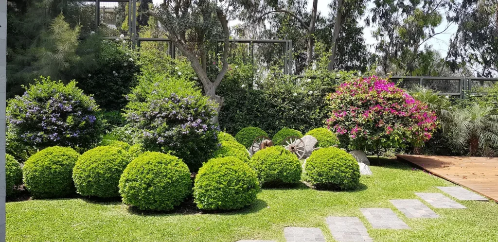 Detalle Topiaria El Dominio De La Topografía Proyecto las Casuarinas De Márcia Lenz