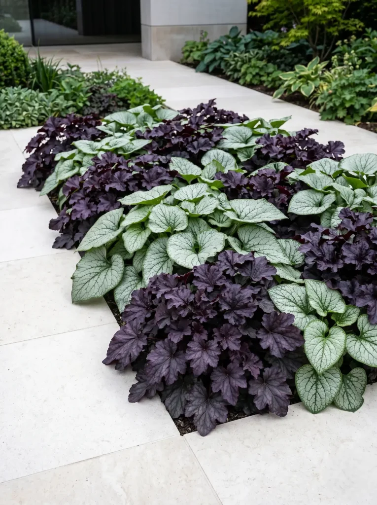heuchera con hosta | jardinesconestiloes Heuchera Con Hosta La Sombra Del Diseño El Follaje Oscuro Y La Maestría Del Contraste
