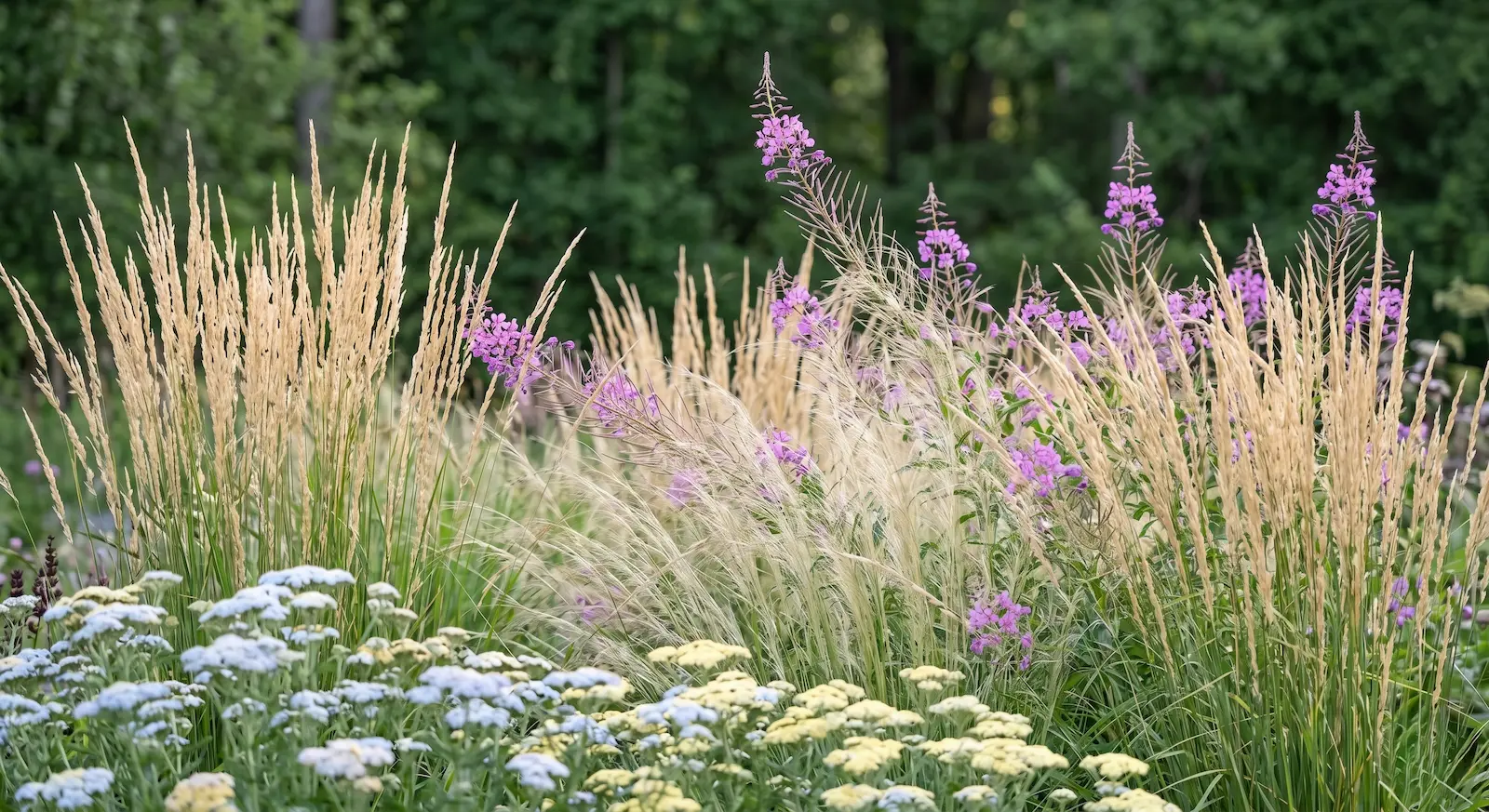 Jardín Biodiversidad El Naturalismo Adaptativo Ecosistemas Estructurados Y Mínima Intervención