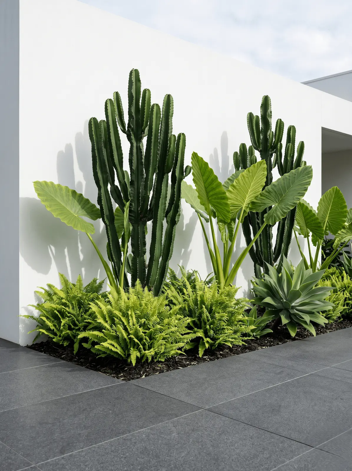 Jardín De Contrastes 3 Claves Para Un Jardín De Contrastes Cromatismo Y Estructura