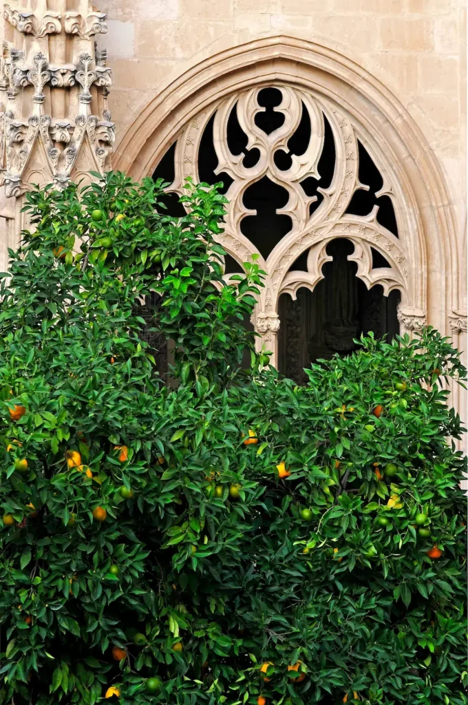 Naranjo En Claustro De San Juan De Los Reyes Toledo El Claustro De San Juan De Los Reyes La Geometría Del Silencio