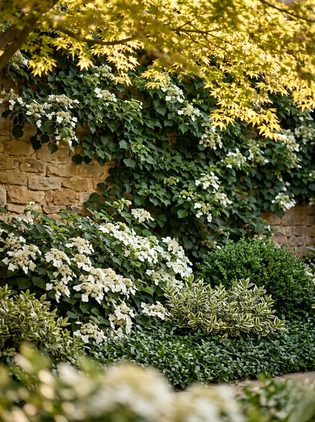 Rincones De Sombra 2 El Dominio De La Sombra Diseño Cuidado En Jardines De Planta Baja