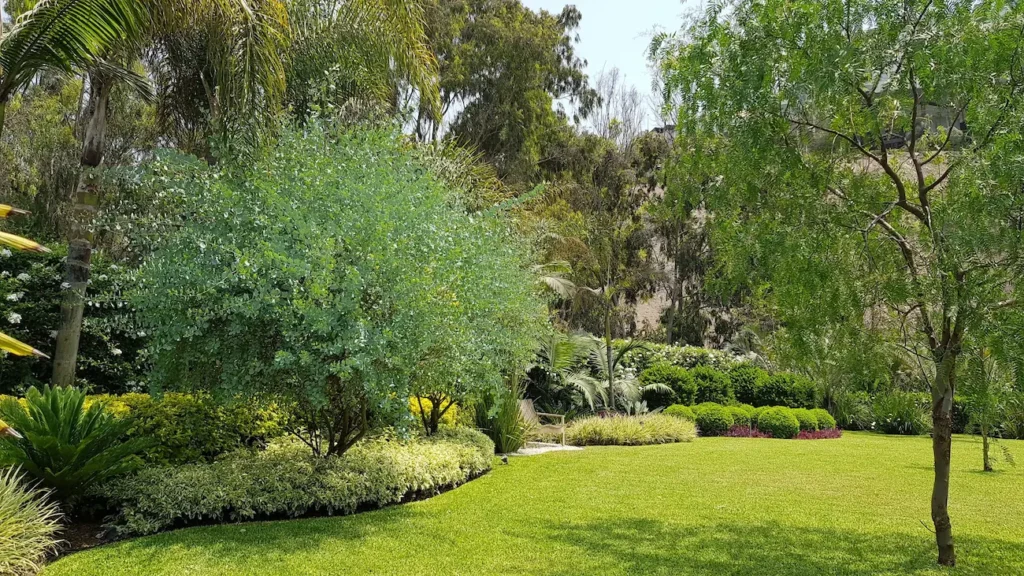 Zona Pradera Llana El Dominio De La Topografía Proyecto las Casuarinas De Márcia Lenz
