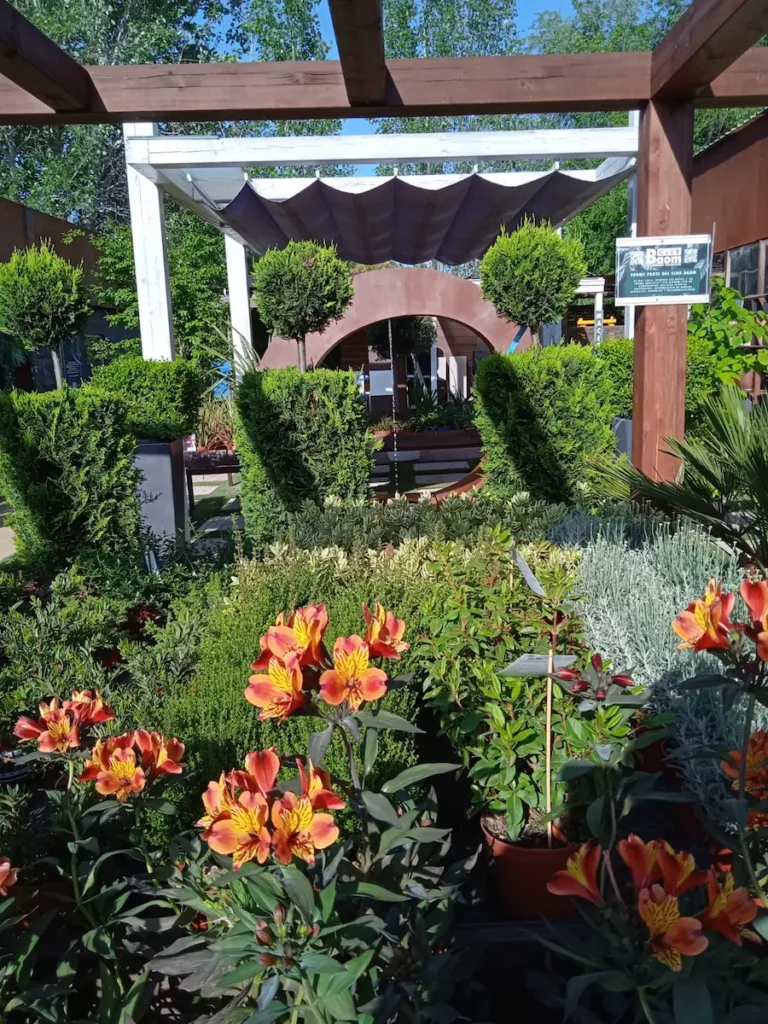 Img 20220513 wa0006 2 Baom El Arte De Crear Jardines Espectaculares Un Oasis Entre Boadilla Y Brunete