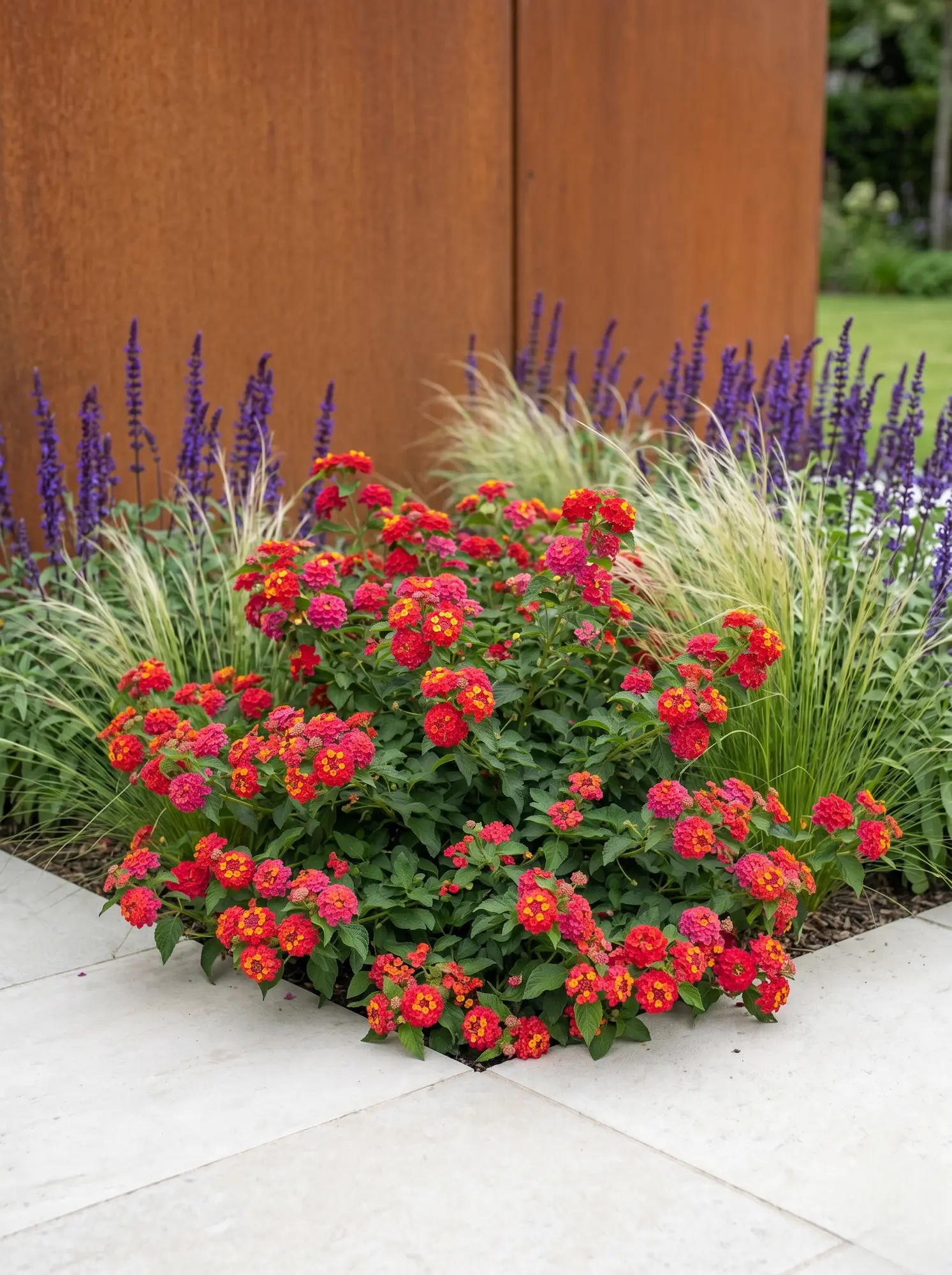 Lantana camara Bandana Cherry | jardinesconestiloes Lantana Camara Bandana Cherry La Lantana En El Diseño Exterior Tensión Cromática Y Rigor Botánico'Bandana Cherry' frente a un fondo arquitectónico de acero corten.