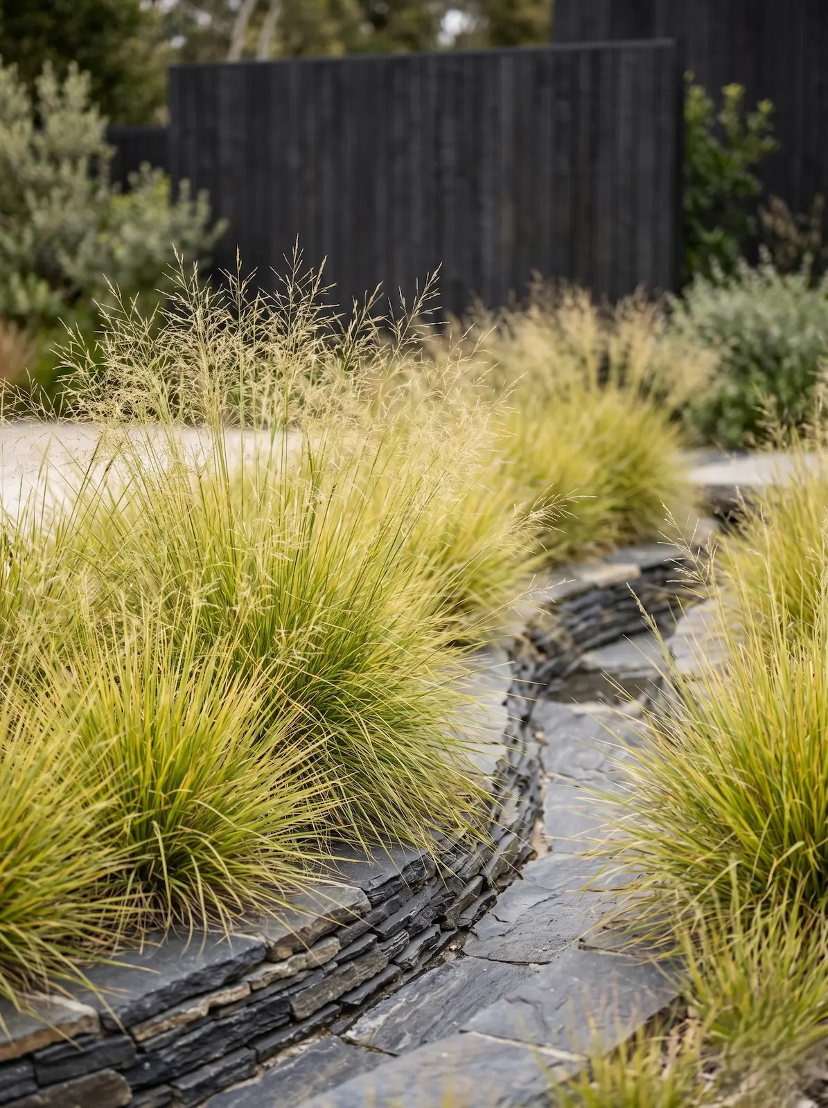 acequia de pizarra | jardinesconestiloes Acequia De Pizarra Técnicas Avanzadas De Captación De Agua De Lluvia Y Diseño De Aljibes En El Paisajismo Del Desierto