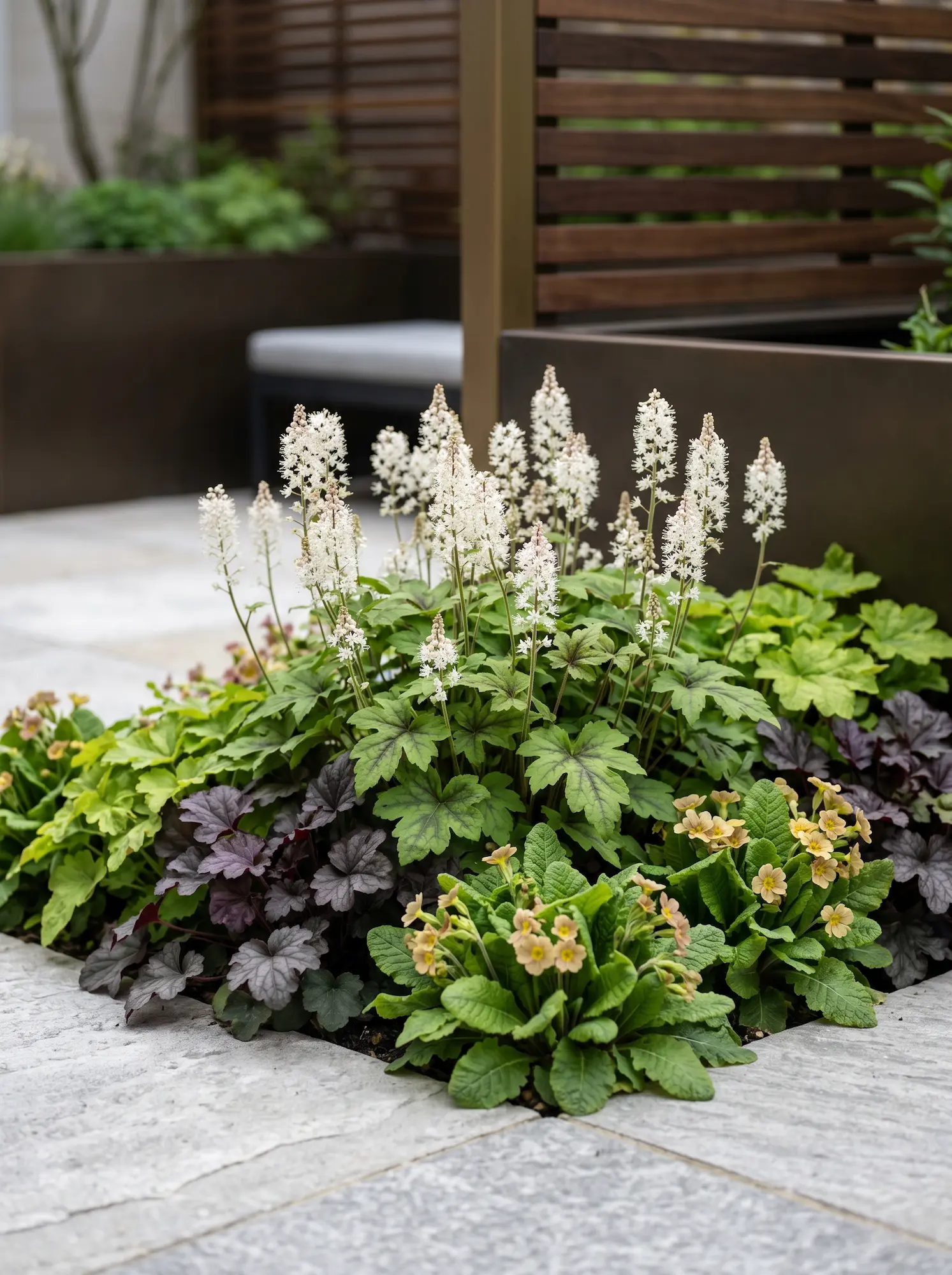 Astilbe Huecheras Y Primulas 8 Plantas De Sombra Arquitectura Y Color En La Estructura Del Jardín