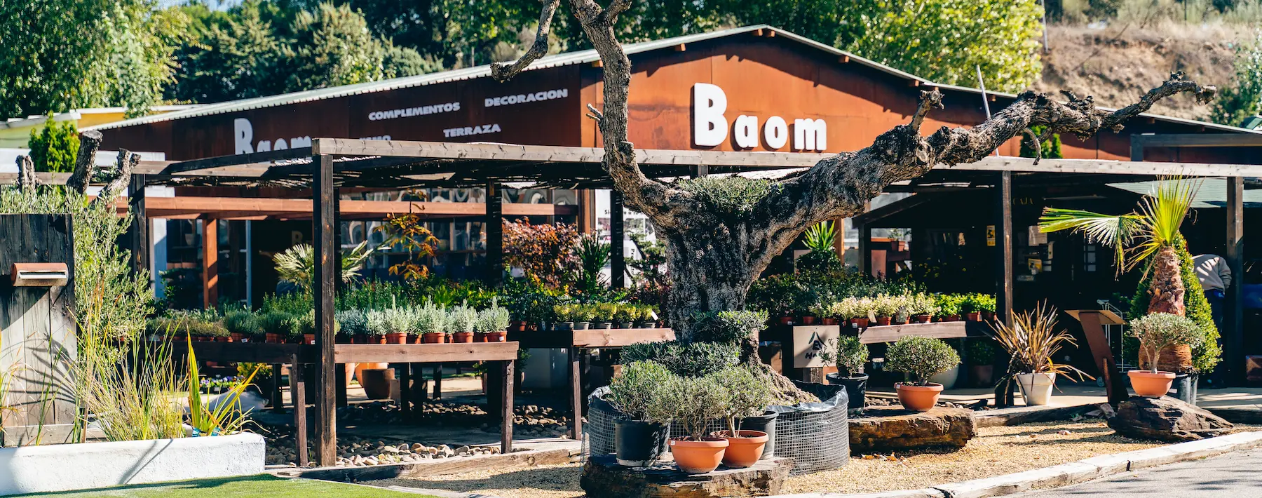 Cabecera Baom Baom El Arte De Crear Jardines Espectaculares Un Oasis Entre Boadilla Y Brunete