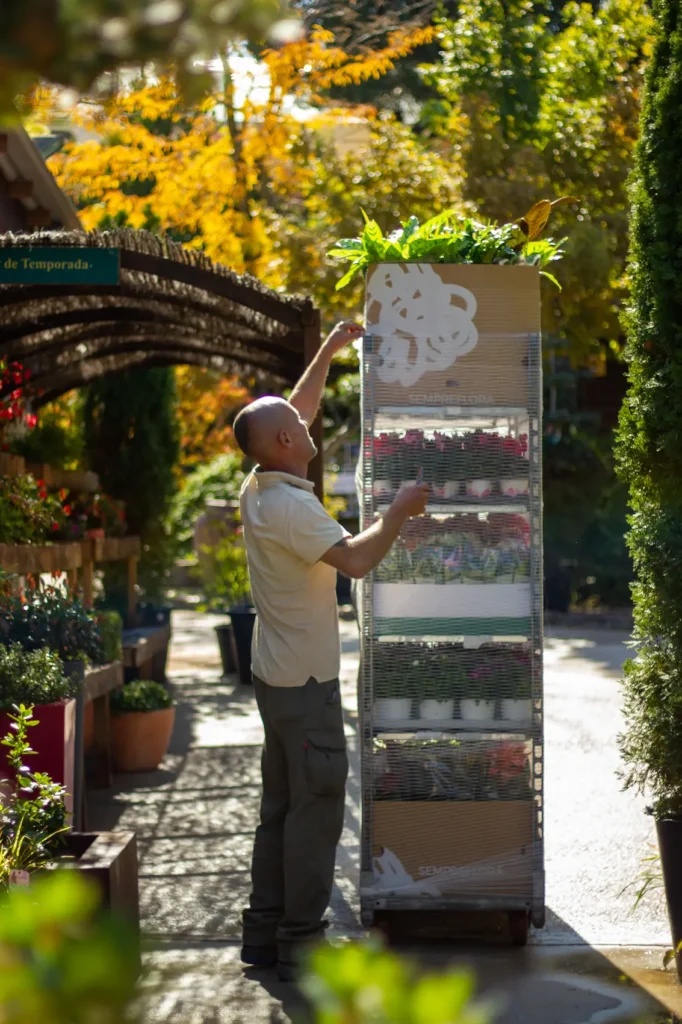 Calidad De Planta Carry Baom El Arte De Crear Jardines Espectaculares Un Oasis Entre Boadilla Y Brunete