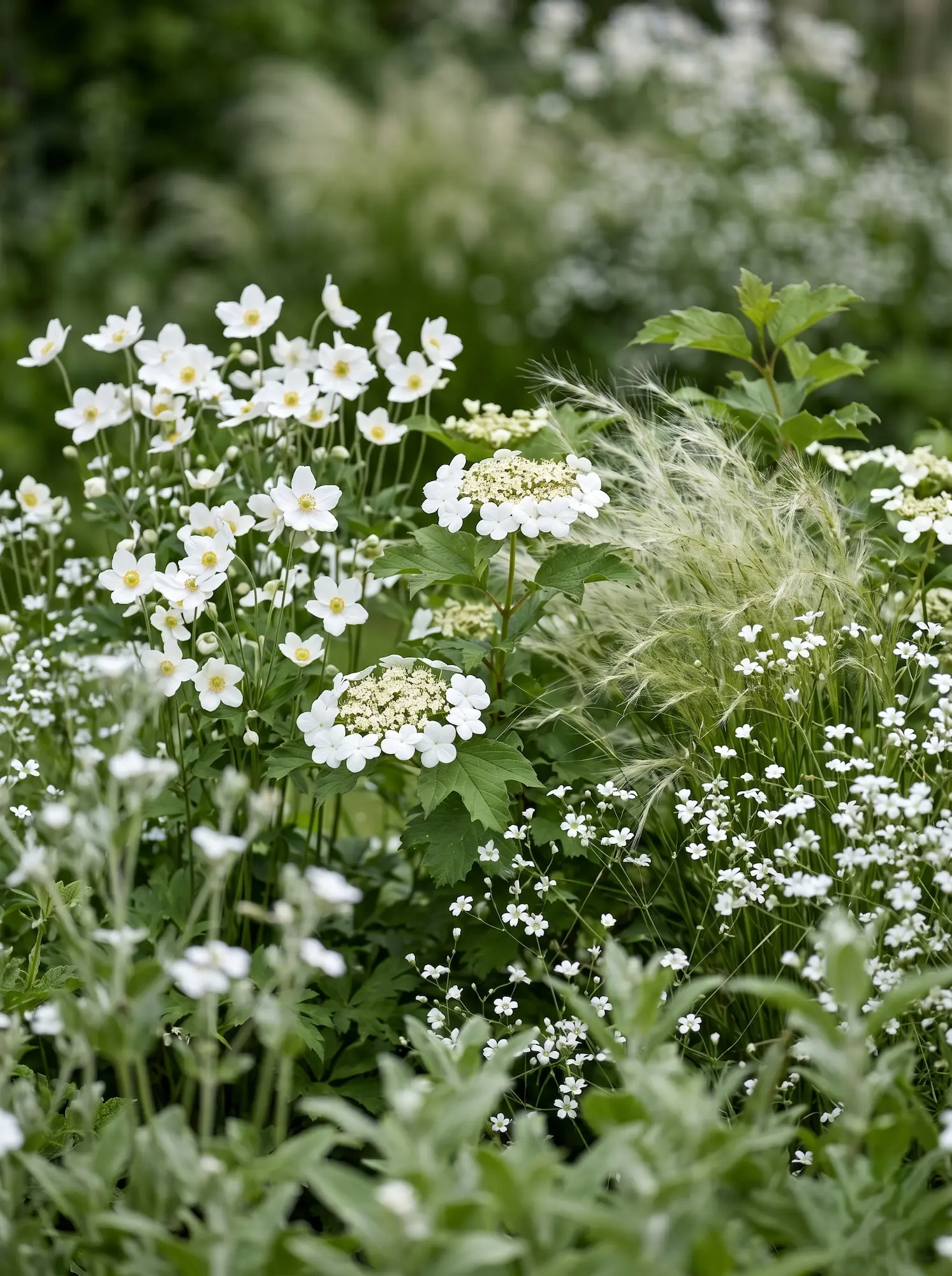 composición blanco jardin romatico | jardinesconestiloes Composición Blanco Jardin Romatico Jardín Romántico Clásico El Blanco Como Herramienta De Contraste