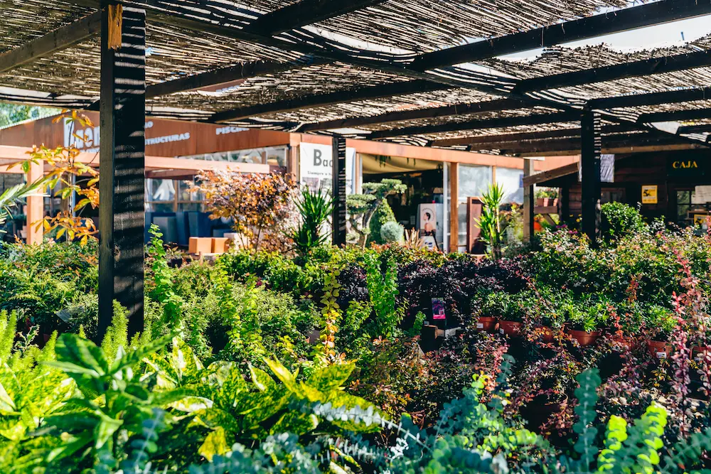 Exposicion Plantas Baom El Arte De Crear Jardines Espectaculares Un Oasis Entre Boadilla Y Brunete