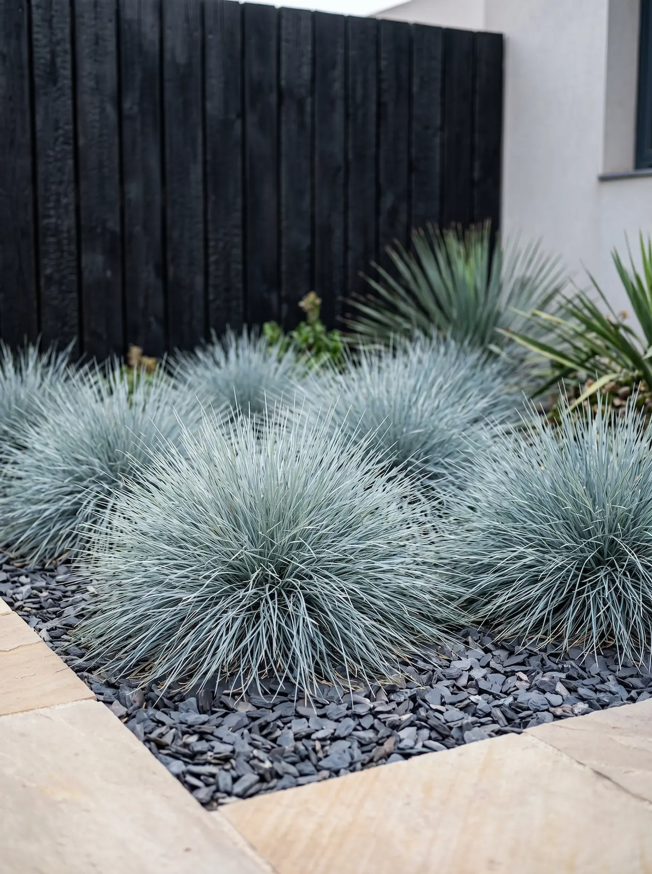 festuca en lecho de grava negra | jardinesconestiloes Festuca En Lecho De Grava Negra Grava Roca Y Silueta El Arte De Componer Paisajes Minimalistas En Zonas De Sequía Extrema