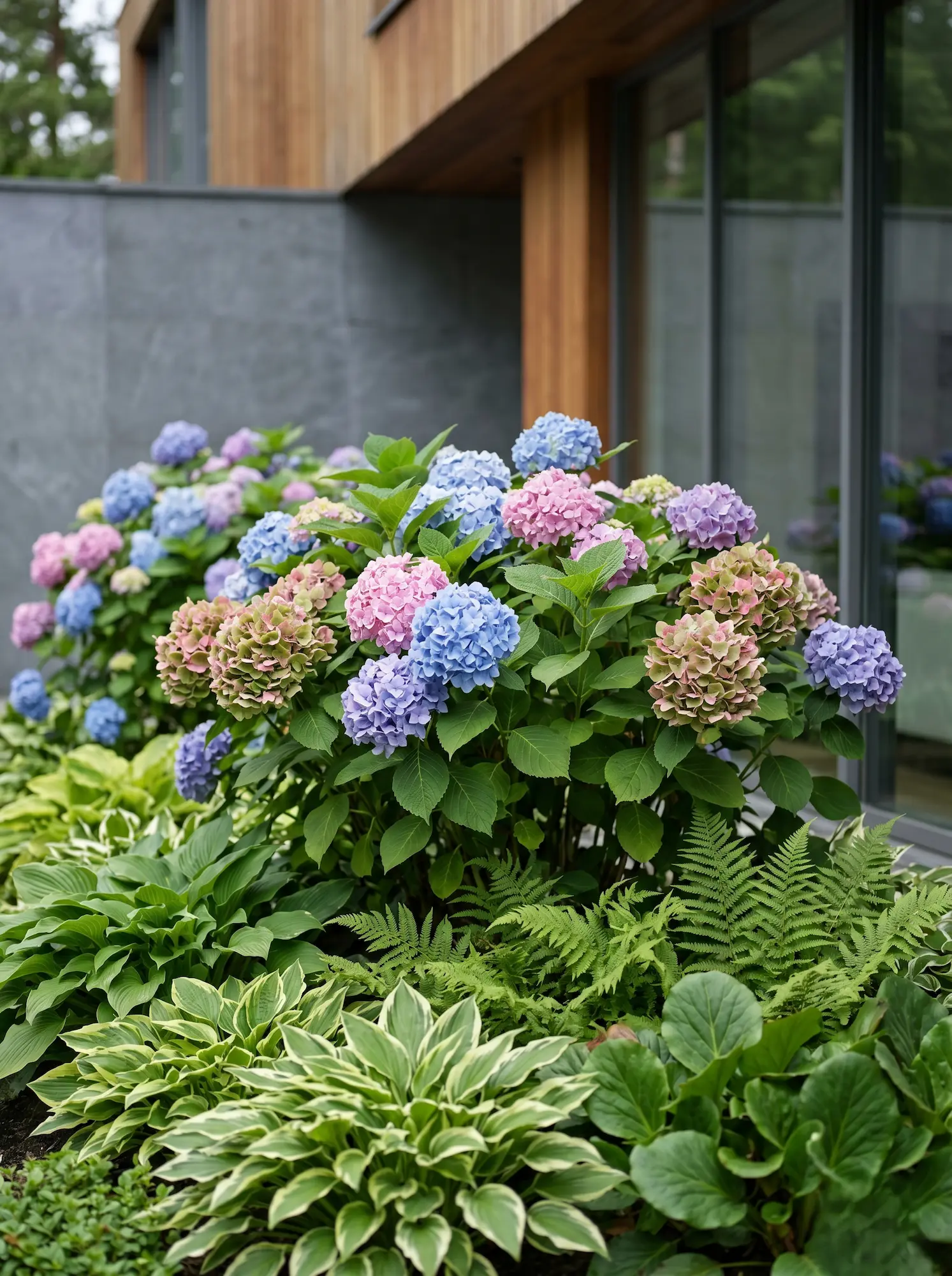 Hortensia Combinadas 8 Plantas De Sombra Arquitectura Y Color En La Estructura Del Jardín