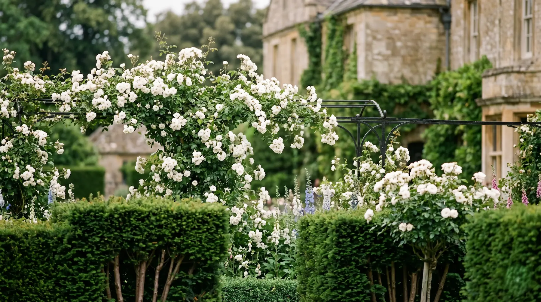 jardín romatico blanco | jardinesconestiloes Jardín Romatico Blanco Jardín Romántico Clásico El Blanco Como Herramienta De Contraste