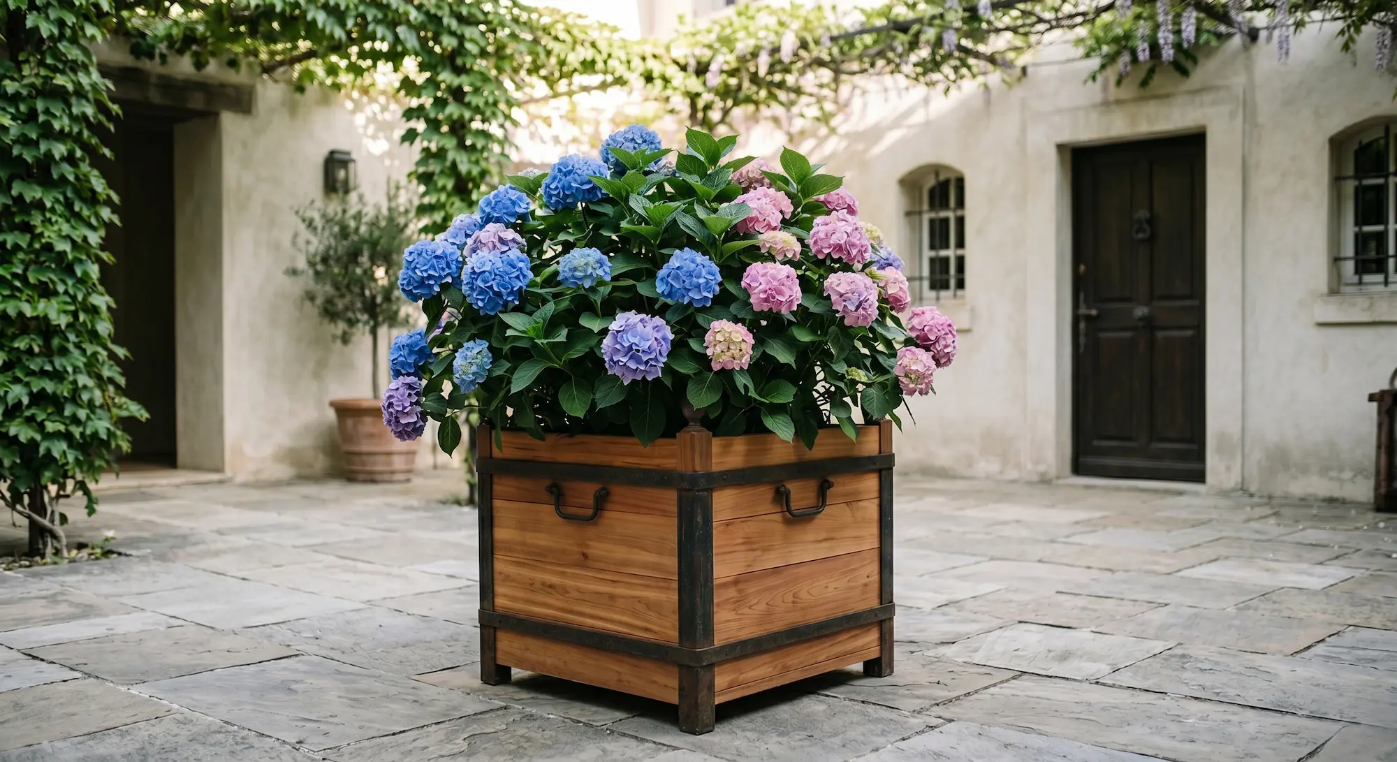 Macetón Madera De Cedro Con Hortensias En Flor La Arquitectura Del Tiempo Memoria Luz Y El Legado Botánico