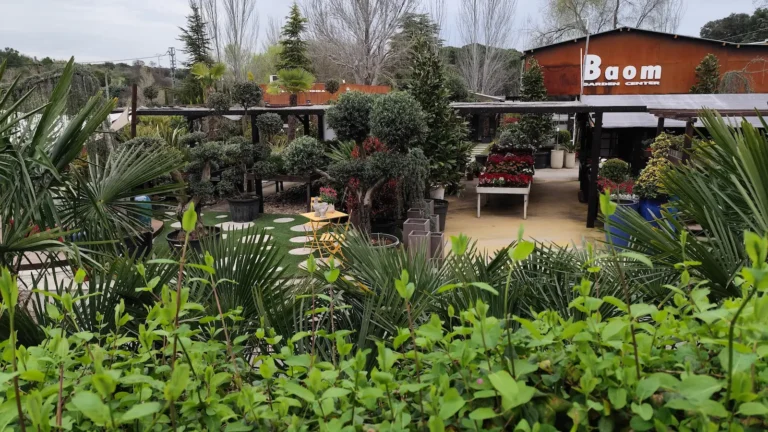 panorámica vivero Baom Garden detalle de instalaciones