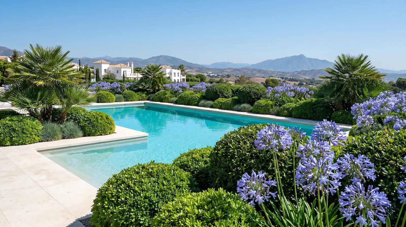 Panoramica Vegetación Piscina Jardín Mediterráneo El Paisajismo En El Entorno De La Piscina Guía Maestra De Selección Botánica Y Criterios Técnicos'Nana') y agapanto (Agapanthus africanus) delimitando la lámina de agua en el pavimento de piedra de una vivienda contemporánea. Suelo completamente cubierto por grava mineral limpia.