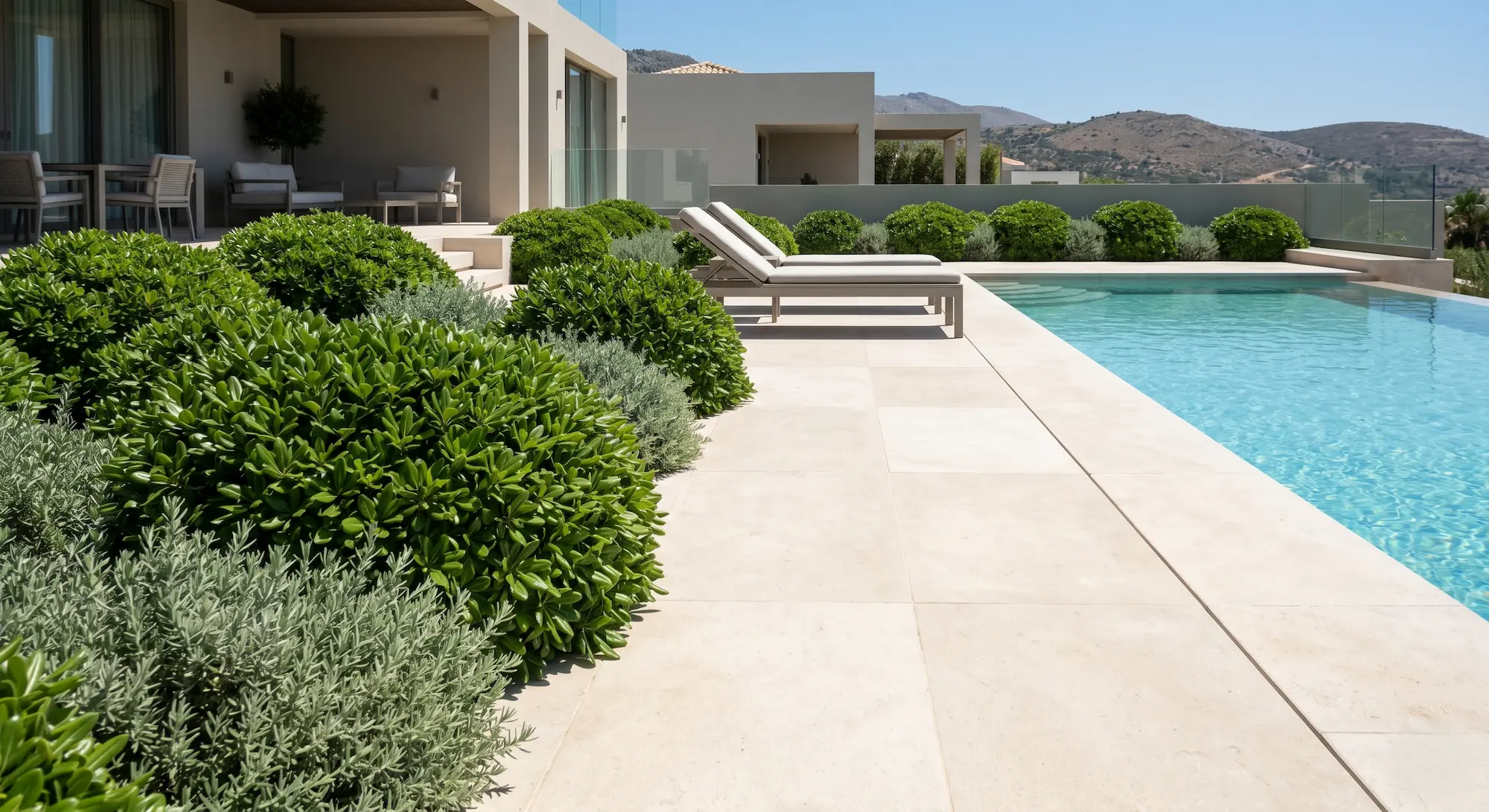 Pittosporum Tobira Nana Y Westringia El Paisajismo En El Entorno De La Piscina Guía Maestra De Selección Botánica Y Criterios Técnicos