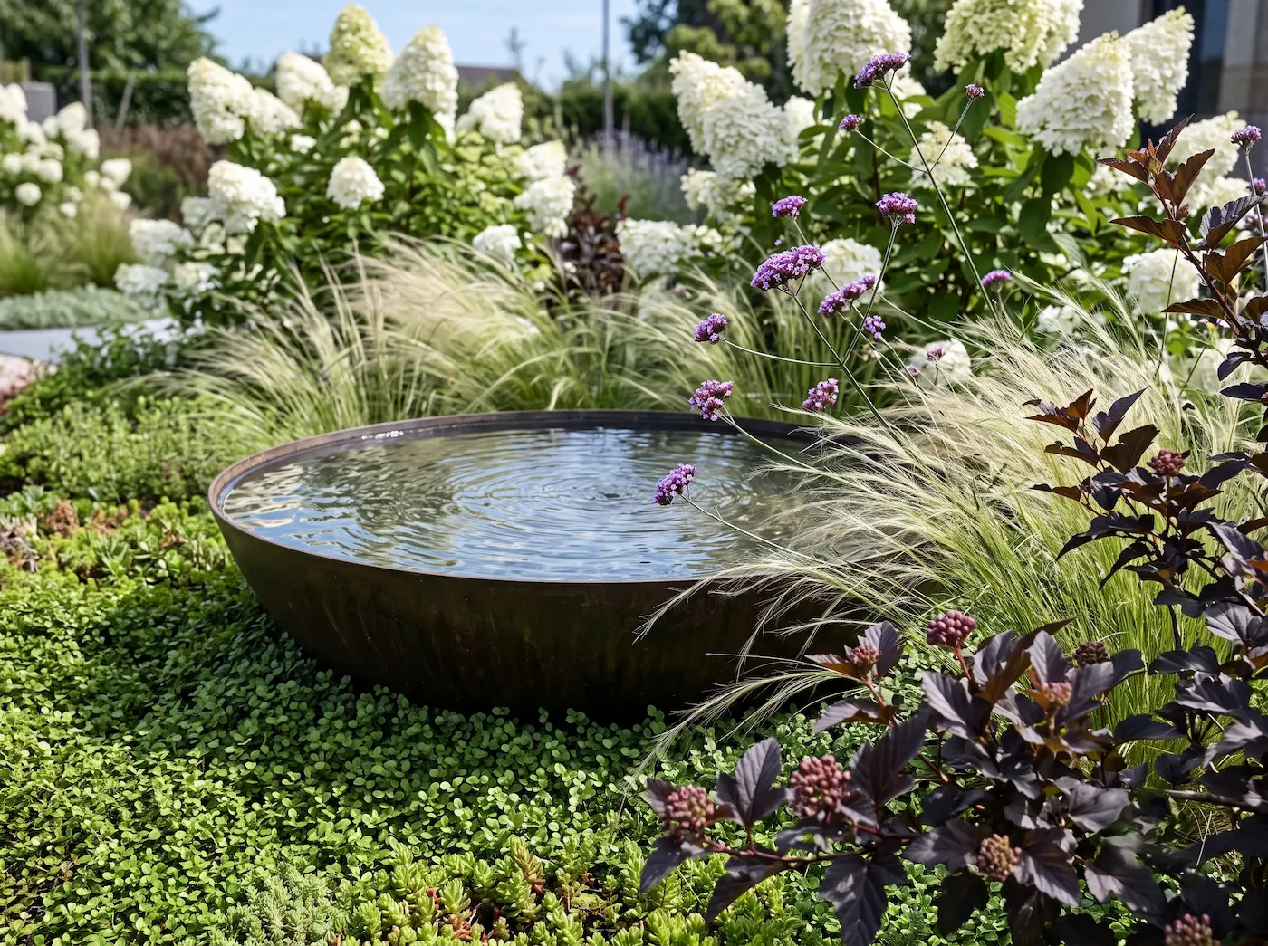 combinacion hydrangea paniculata stipa y physocarpus con fuente | jardinesconestiloes Combinacion Hydrangea Paniculata Stipa Y Physocarpus Con Fuente El Orden Natural Análisis Visual De Un Jardín Contemporáneo