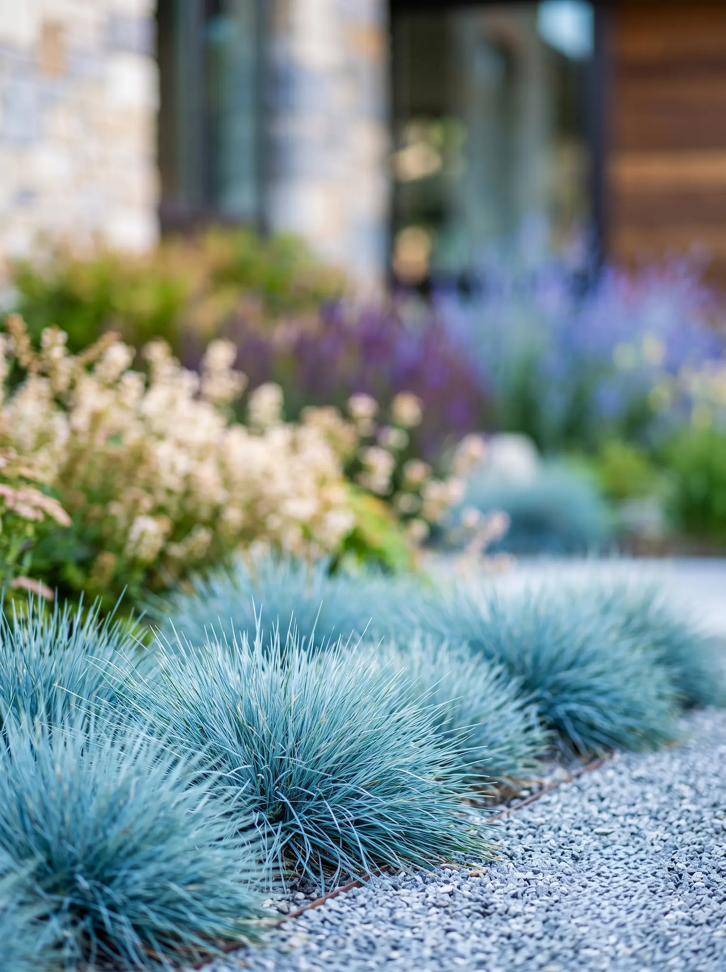 festuca en bordura | jardinesconestiloes Festuca En Bordura El Velo Y La Esfera Arquitectura Botánica En El Jardín Mediterráneo