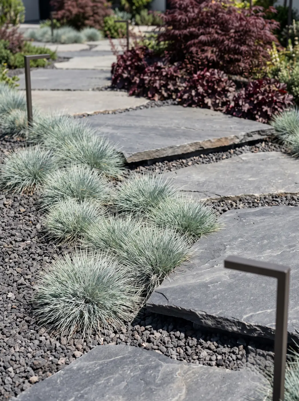 festuca en combinacion | jardinesconestiloes Festuca En Combinacion El Acceso Escultural Fricción Cromática En Borgoña Y Azul Glaciar