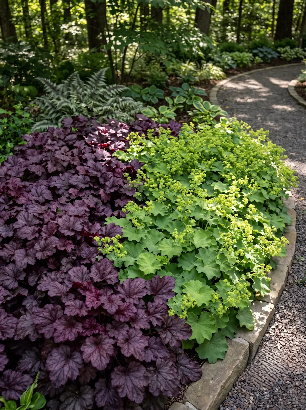 heuchera y alchemilla | jardinesconestiloes Heuchera Y Alchemilla El Claroscuro Textural Arquitectura De Sotobosque Y Fricción Foliar