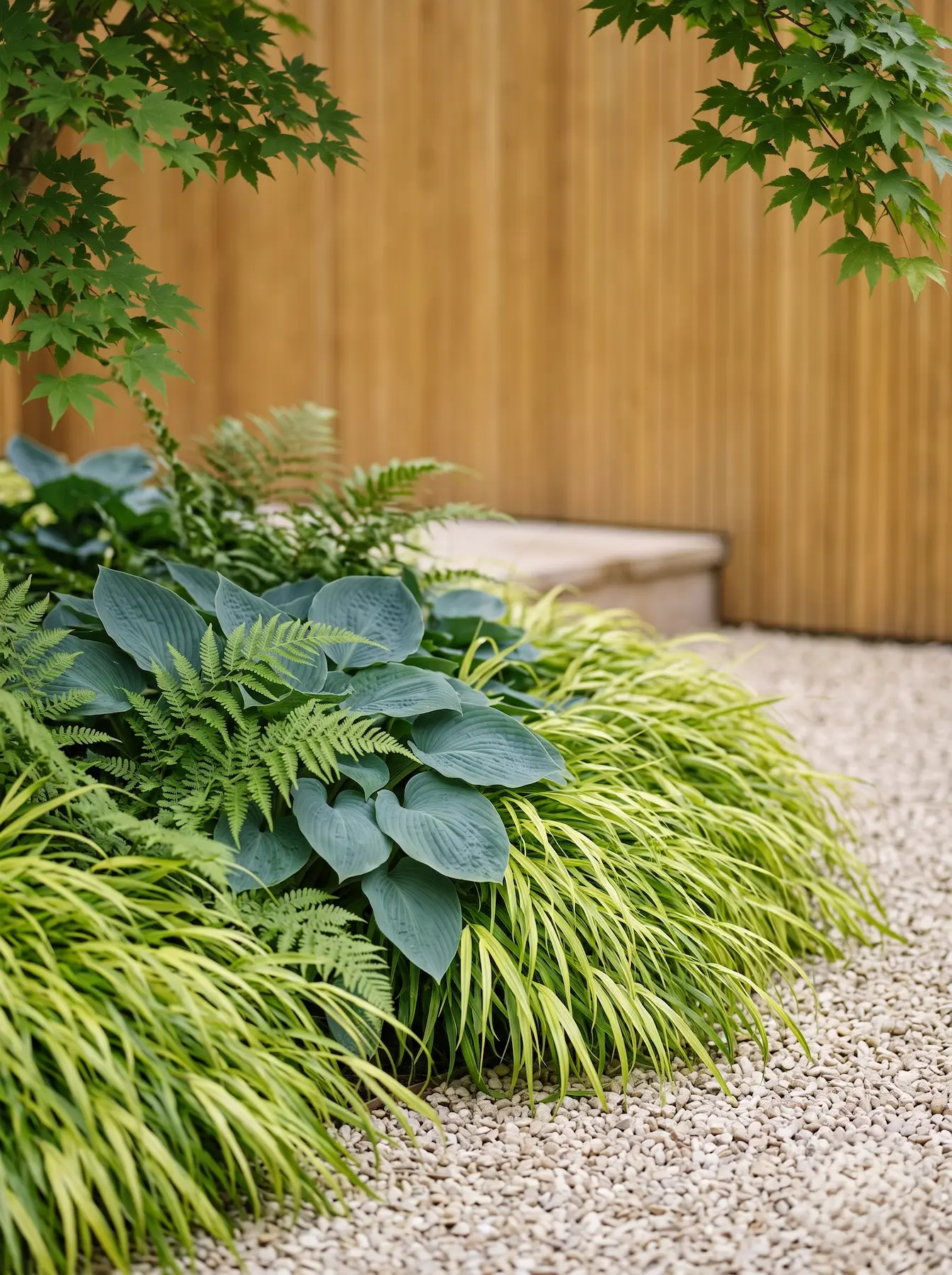 macizo de plantas sombra japones | jardinesconestiloes Macizo De Plantas Sombra Japones Diseño De Entradas En Semisombra Geometría Oriental Y Follaje Estructural