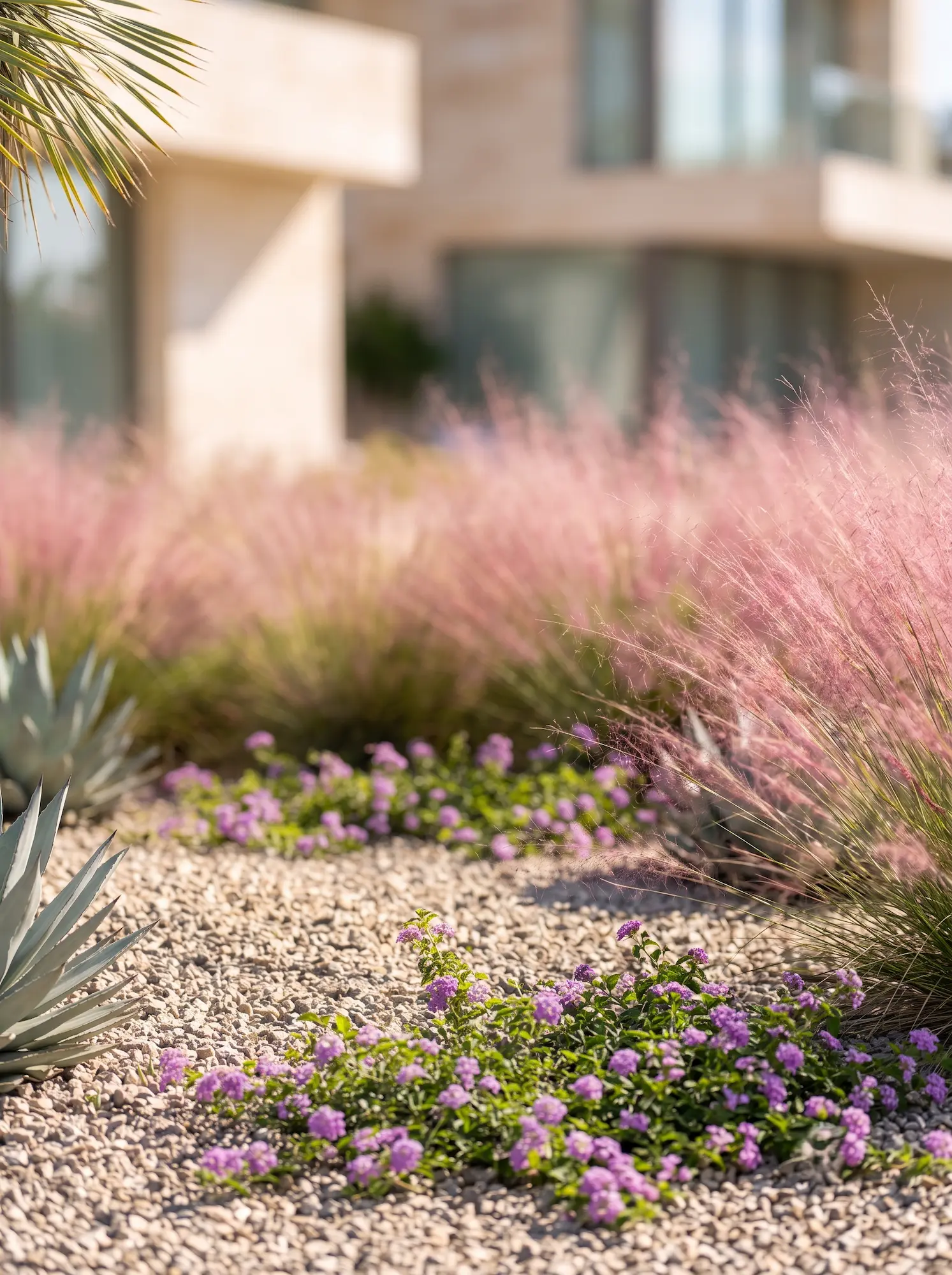 muhlenbergia con lantana | jardinesconestiloes Muhlenbergia Con Lantana Oasis De Grava Paisajismo Xerófito Con Yuccas Agaves Y Bruma Rosada