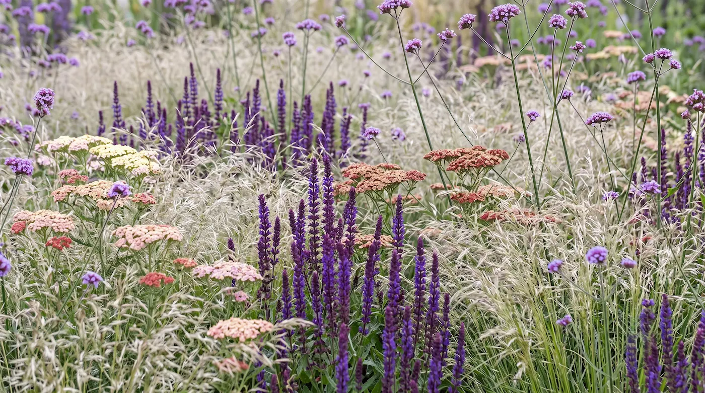 new perennial 1 | jardinesconestiloes New Perennial 1 Bruma De Verano El Romanticismo Etéreo En El Paisajismo Contemporáneo