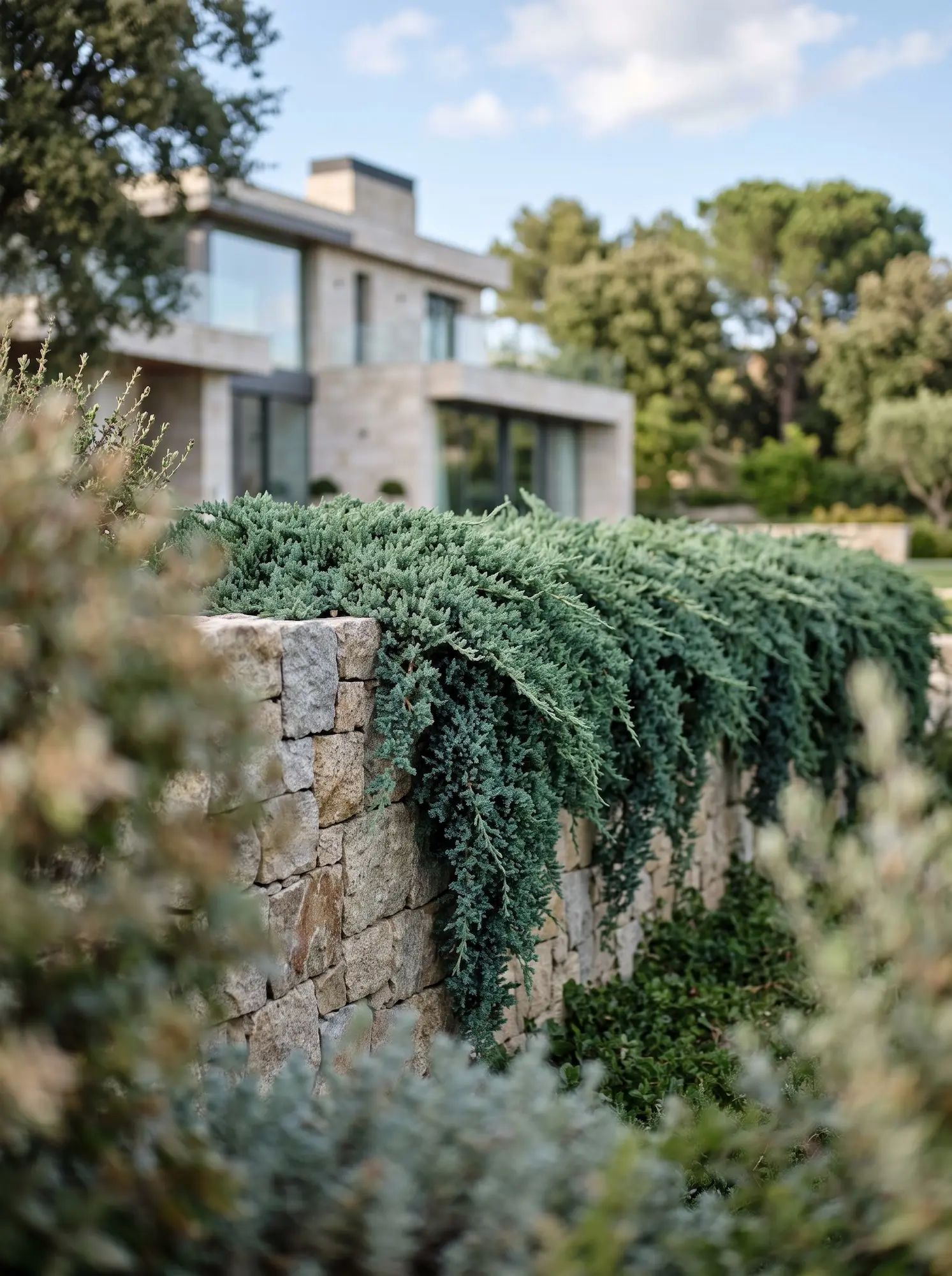 Cascada de Juniperus horizontalis sobre muro | jardinesconestiloes Cascada De Juniperus Horizontalis Sobre Muro El Muro Y La Llama Estructurando El Talud Con Enebro Rastrero Ricino Y Celosías