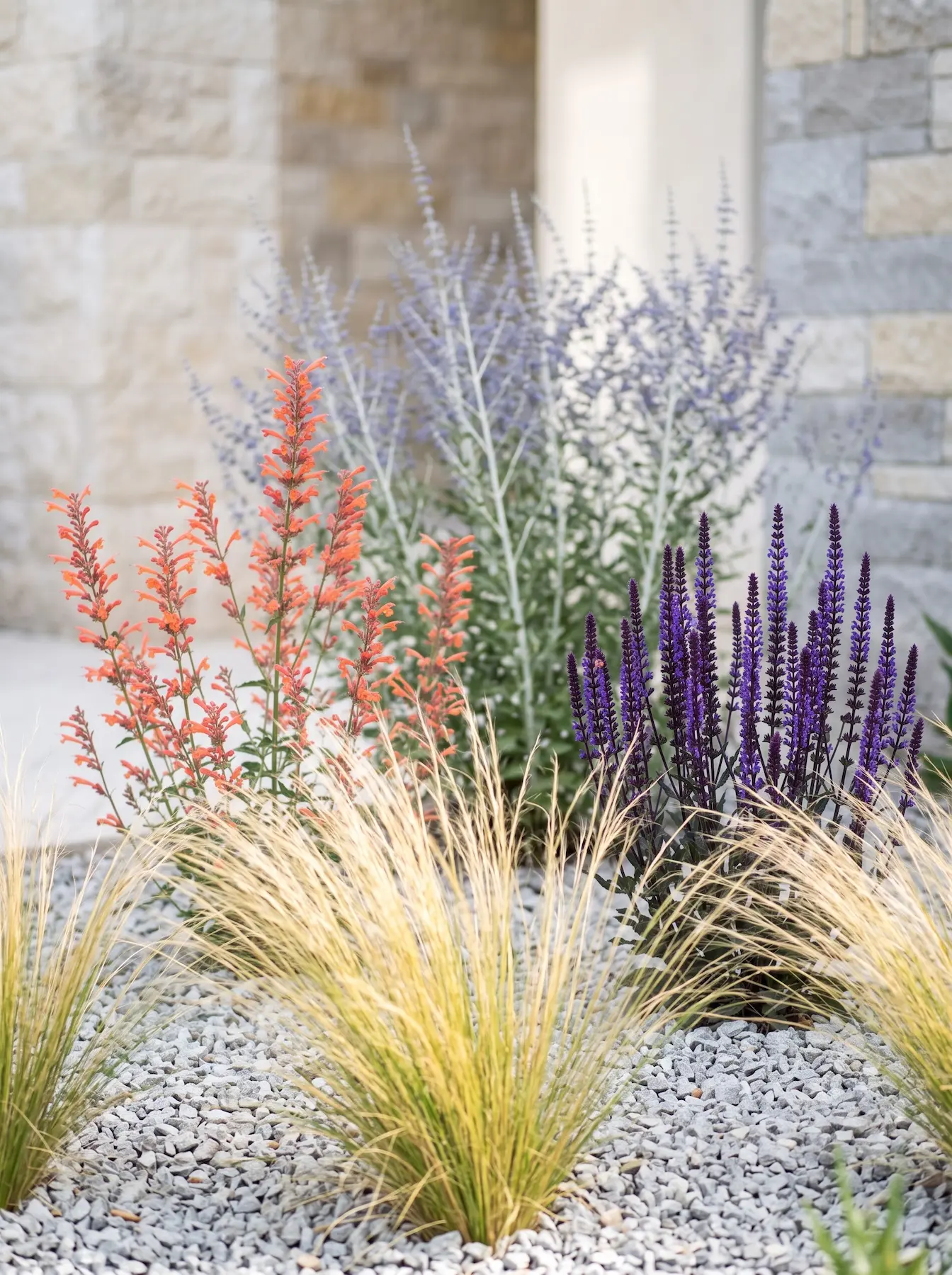 Salvia Caradonna Y Stipa Tenuissima Sobre Grava De Machaqueo El Oasis Xérico Estructurando El Secano Con Agastache Salvia Y Perovskia